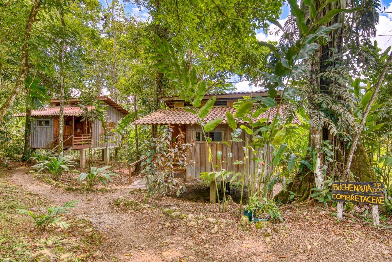 Selva Bananito Lodge Westfalia Екстер'єр фото