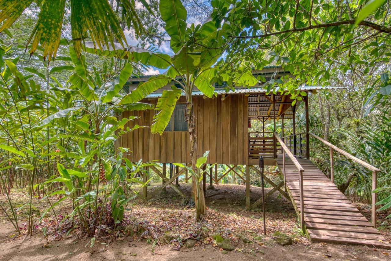 Selva Bananito Lodge Westfalia Екстер'єр фото