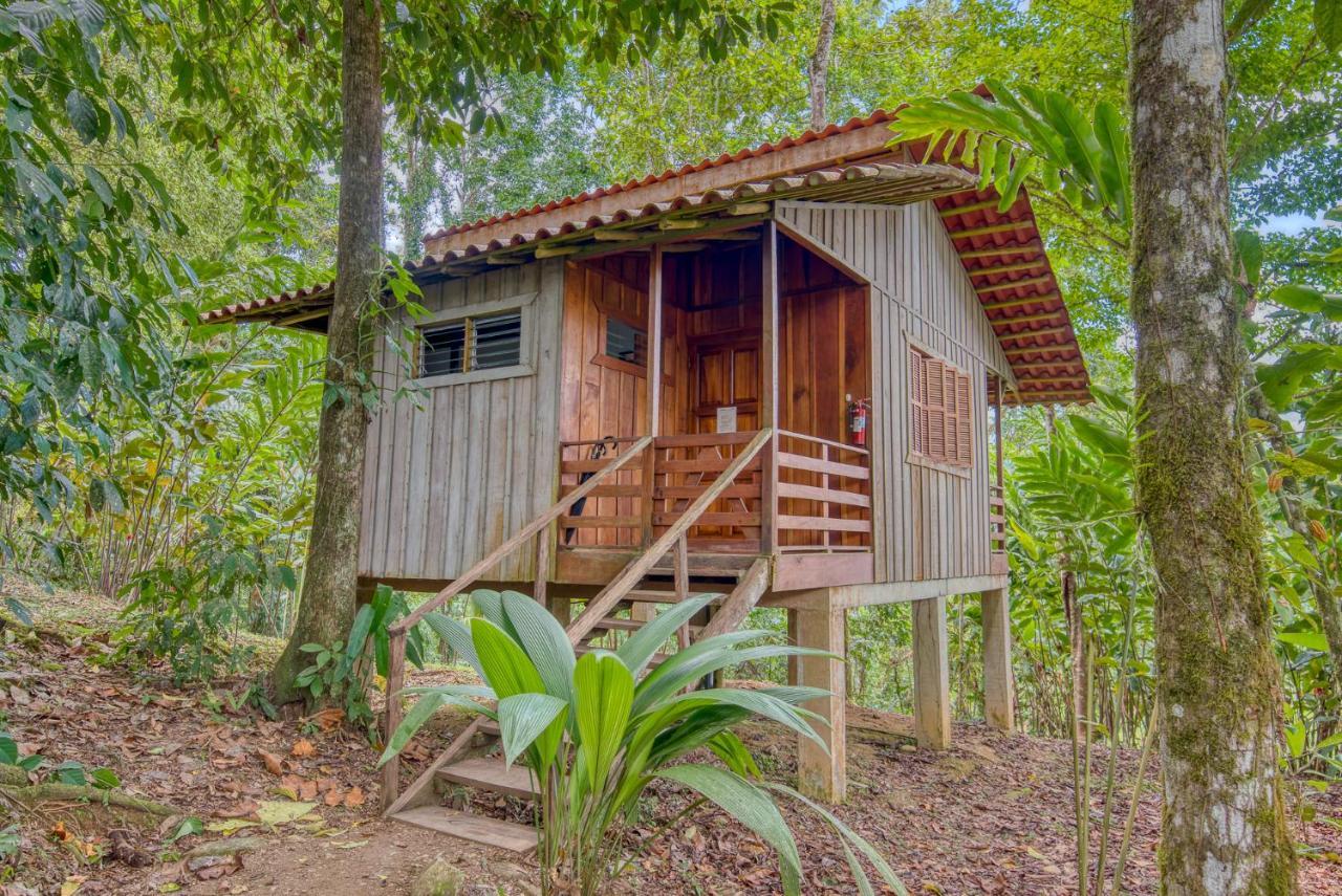 Selva Bananito Lodge Westfalia Екстер'єр фото