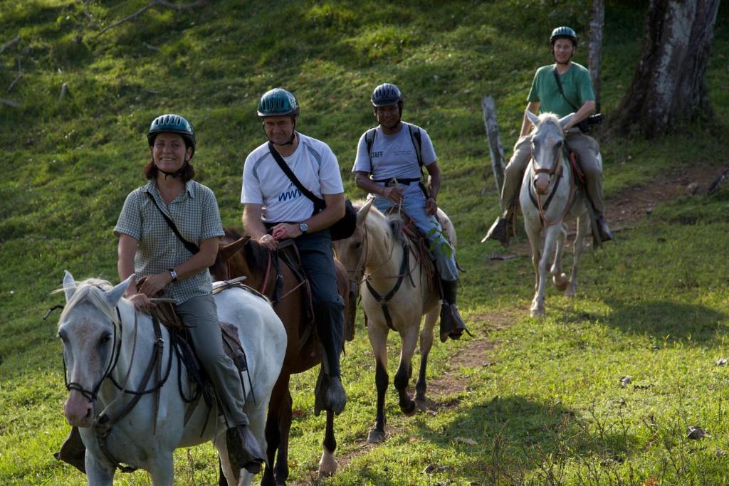 Selva Bananito Lodge Westfalia Екстер'єр фото
